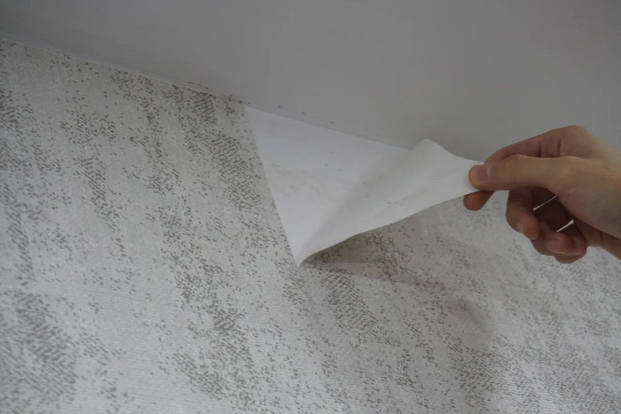 Affordable Wallpaper Removal Spartanburg, SC Affordable Wallpaper Removal Spartanburg, SC