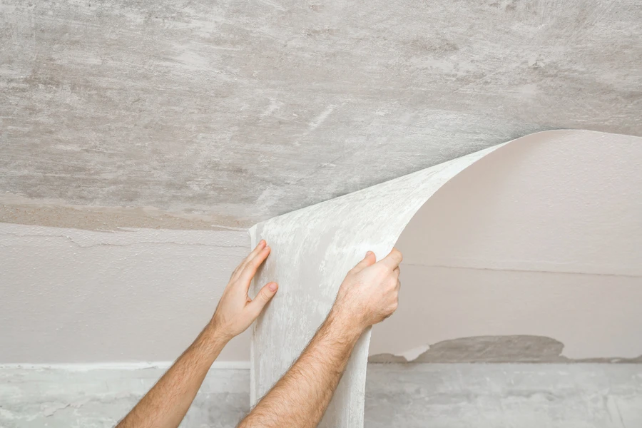 Expert Wallpaper Removal Spartanburg, SC Expert Wallpaper Removal Spartanburg, SC